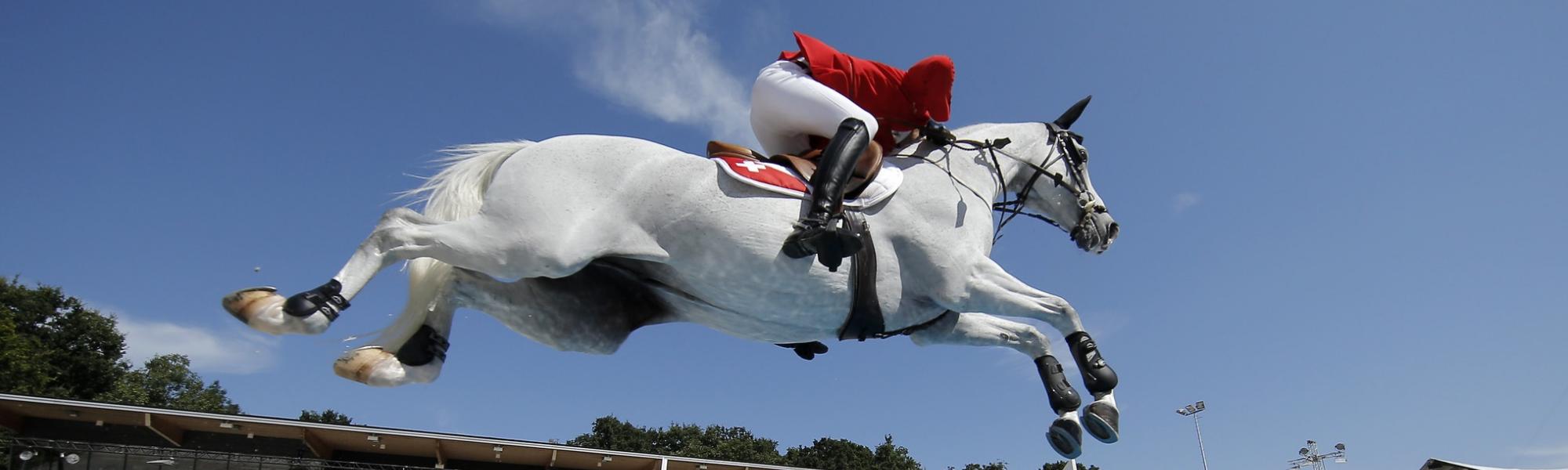 (c) Dean Mouhtaropoulos Getty Images for FEI