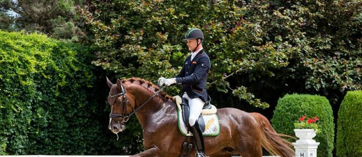 © CDI Achleiten I Peter Gmoser mit seinem Don Jon OLD auf einem Archivbild aus dem Jahr 2019 beim CDI4* in Achleiten